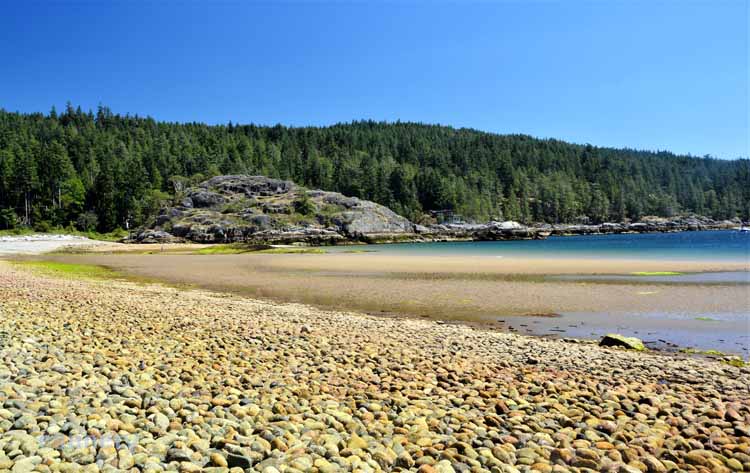 beach scene